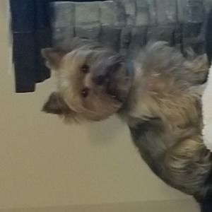 Meet your Posher, Ruth